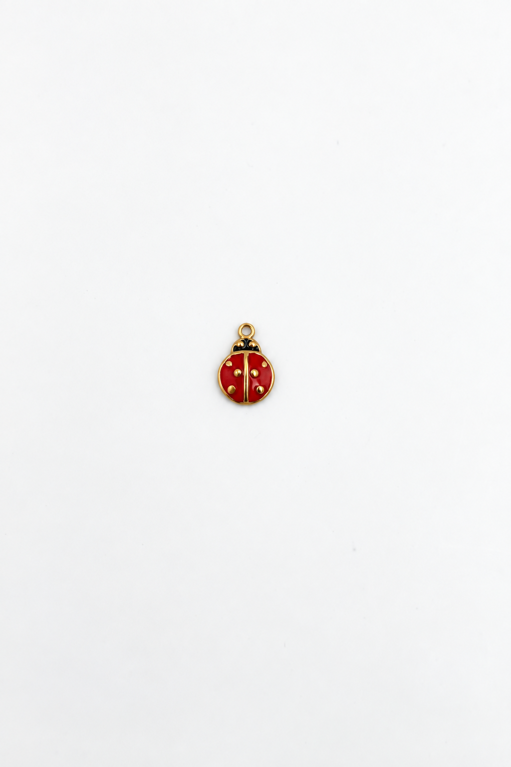 CHARM COCCINELLA Immagine principale del prodotto