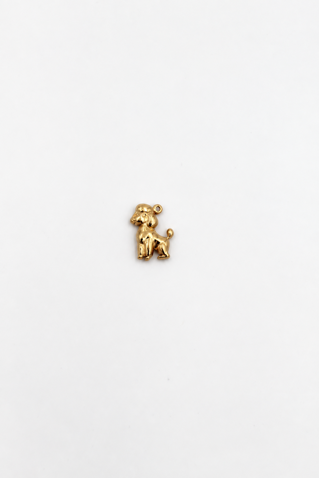 CHARM BARBONCINO Immagine principale del prodotto
