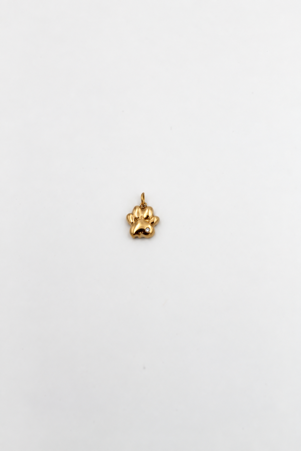 CHARM ZAMPETTA Immagine principale del prodotto